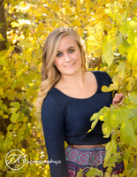 Senior Year