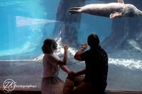 First comes love...  (engagement)