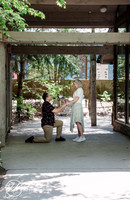 First comes love...  (engagement)